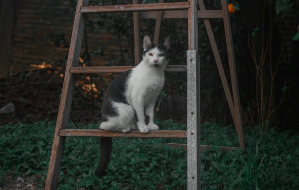 What Are the UK's Most Pressing News Issues Right Now?